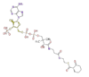 BMMCACCHa008.png