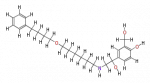 COX00080.png