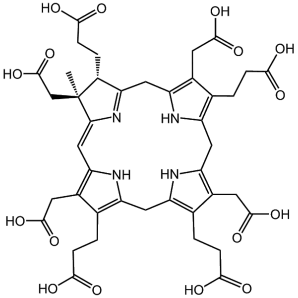 File:BMCCPPPC.png