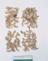 Thumbnail for version as of 14:51, 2 July 2010
