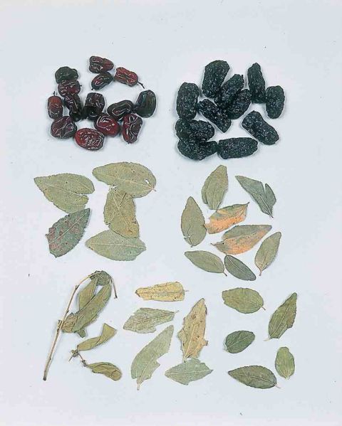 File:Alps:Zizyphi Fructus2.jpg
