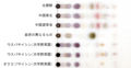 Thumbnail for version as of 17:18, 22 December 2010