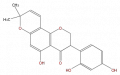 Thumbnail for version as of 17:01, 1 February 2008