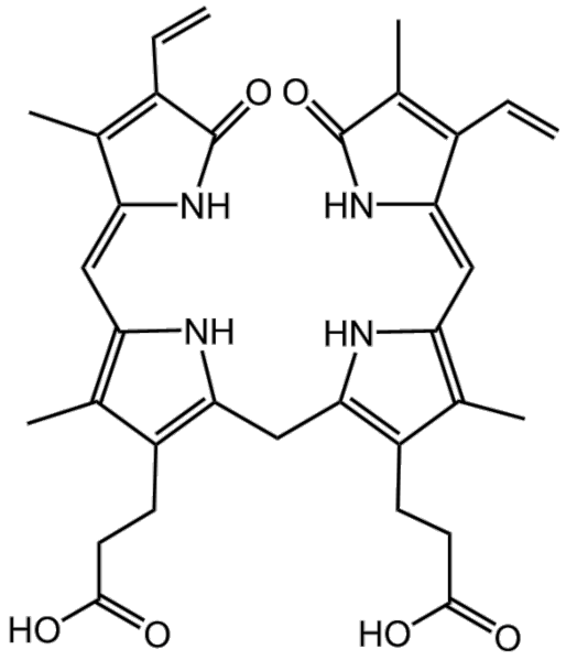 File:BMCCPPBL.png