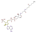 Thumbnail for version as of 11:52, 17 June 2010