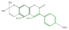 FLIHBBNP0002.png