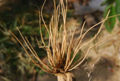 BG-ele02081p.jpg