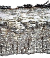 Thumbnail for version as of 14:51, 20 February 2011