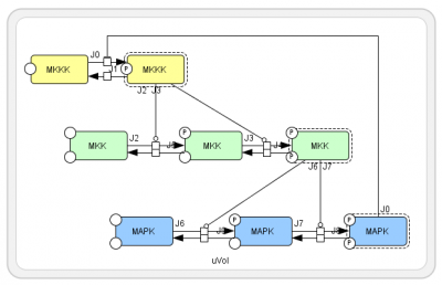 MAPK pathway by Cell Designer