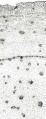 Thumbnail for version as of 22:05, 10 November 2010