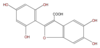 FLIIACNM0001.png