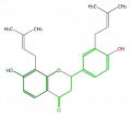 Thumbnail for version as of 17:02, 1 February 2008