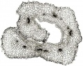 Thumbnail for version as of 12:14, 1 December 2010