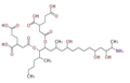 Thumbnail for version as of 11:11, 29 March 2010