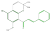 FL1CA9NP0011.png