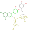 FL7AACGA0016.png
