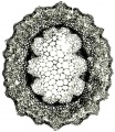Thumbnail for version as of 22:06, 10 November 2010