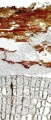 Thumbnail for version as of 22:06, 10 November 2010
