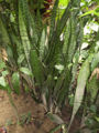 BG-san02361.jpg