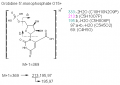 Thumbnail for version as of 14:11, 1 June 2011