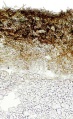 Thumbnail for version as of 22:06, 10 November 2010