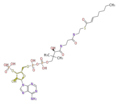Thumbnail for version as of 14:31, 17 June 2010