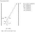 Thumbnail for version as of 22:47, 4 March 2011