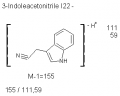 Thumbnail for version as of 22:48, 4 March 2011