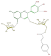 FL7AAIGL0019.png