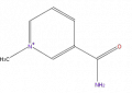 Thumbnail for version as of 16:09, 9 September 2008