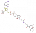Thumbnail for version as of 16:26, 19 June 2009