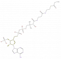 Thumbnail for version as of 16:09, 9 September 2008