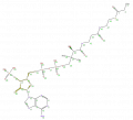 Thumbnail for version as of 13:50, 2 February 2009