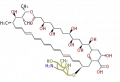 Thumbnail for version as of 13:03, 6 March 2010