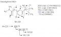 Thumbnail for version as of 22:48, 4 March 2011