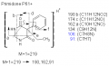 Thumbnail for version as of 22:48, 4 March 2011