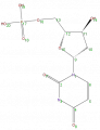 Thumbnail for version as of 13:50, 2 February 2009