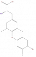 Thumbnail for version as of 16:13, 9 September 2008