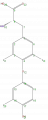 Thumbnail for version as of 13:50, 2 February 2009