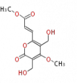 Thumbnail for version as of 14:56, 2 March 2010