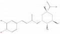 Thumbnail for version as of 16:10, 9 September 2008
