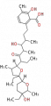 Thumbnail for version as of 14:43, 2 March 2010