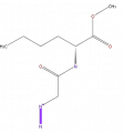 Thumbnail for version as of 16:09, 9 September 2008