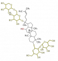 Thumbnail for version as of 10:04, 16 February 2010
