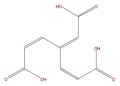 Thumbnail for version as of 16:10, 9 September 2008