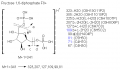 Thumbnail for version as of 22:48, 4 March 2011