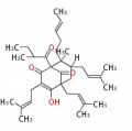 Thumbnail for version as of 14:07, 2 March 2010