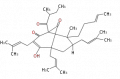 Thumbnail for version as of 13:03, 6 March 2010