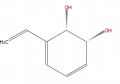 Thumbnail for version as of 16:09, 9 September 2008