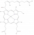 Thumbnail for version as of 16:09, 9 September 2008
